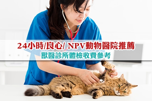 獸醫診所-24小時-良心- NPV動物醫院推薦-寵物體檢收費